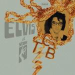 23-07-2013 - schmitt_rauch - elvis.jpg